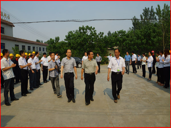 樊市长带队考察铭泽机械压块?